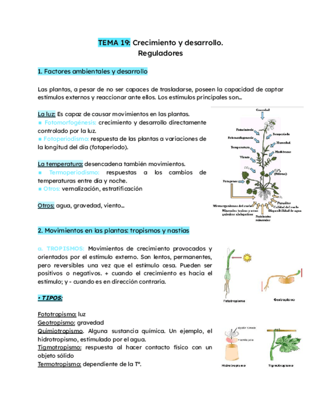 Miniatura del documento TEMA-19-Crecimiento-y-desarrollo.pdf