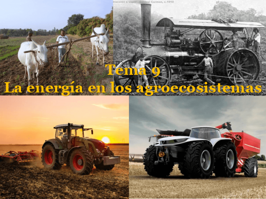 Miniatura del documento CTMA-T9-Energia.pdf