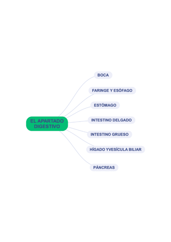 Miniatura del documento APARATO-DIGESTIVO-ANATOMIA.pdf