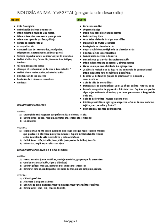 Miniatura del documento Preguntas-de-examen-BAV.pdf