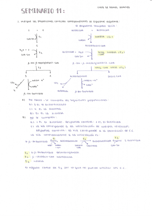 Miniatura del documento Seminario-11.pdf