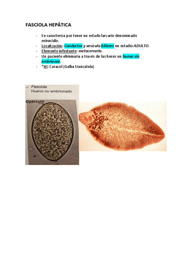 Miniatura del documento EXAMEN-CASO-PRACTICO.pdf