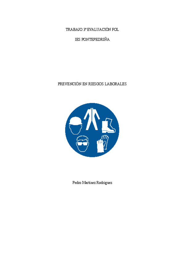Miniatura del documento PREVENCIONRIESGOSLABORALES.pdf