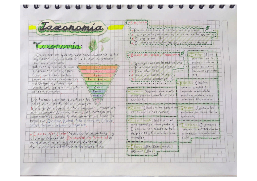 Miniatura del documento Taxonomia.pdf