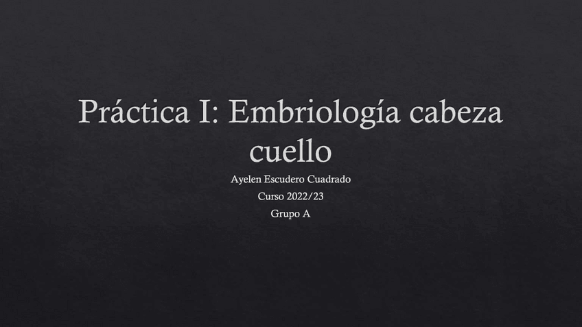 Miniatura del documento PrActica-I.pdf