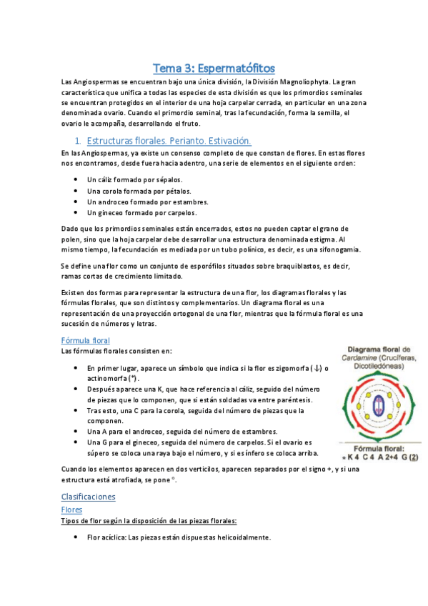 Miniatura del documento Tema 3 - Botánica II.pdf