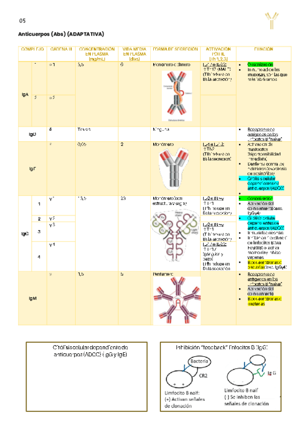Miniatura del documento Tablaanticuerpos.pdf