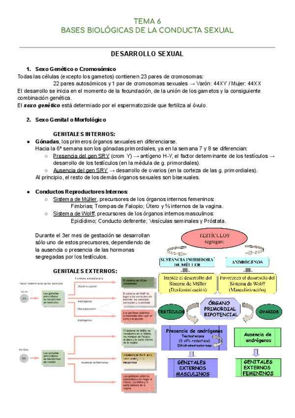 Miniatura del documento Fisiologia-I-Tema-6.pdf