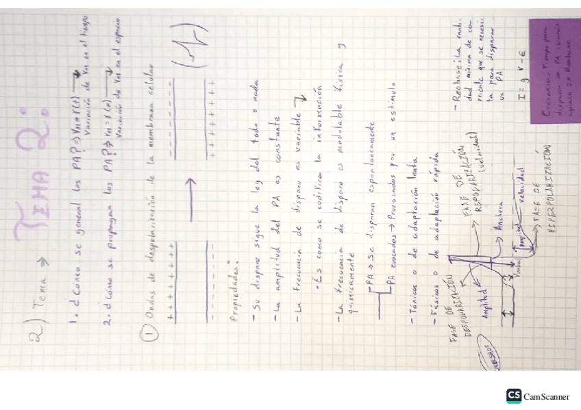 Miniatura del documento Datos-Random-Ferrer.pdf