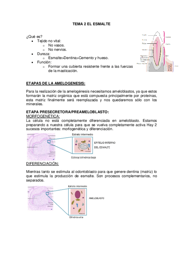 Miniatura del documento Tema-2.pdf