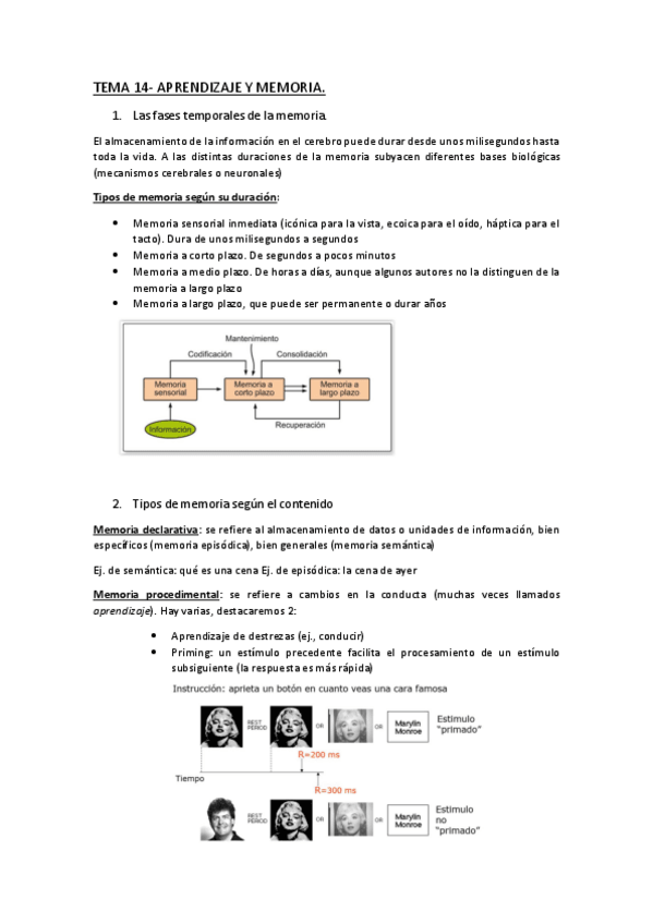 Miniatura del documento Tema-15-Aprendizaje-y-memoria.pdf