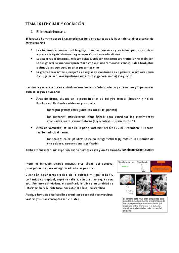 Miniatura del documento Tema-16-Lenguaje-y-cognicion.pdf