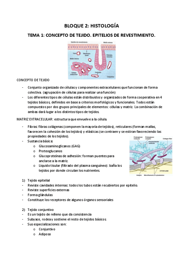 Miniatura del documento HISTOLOGIA.pdf