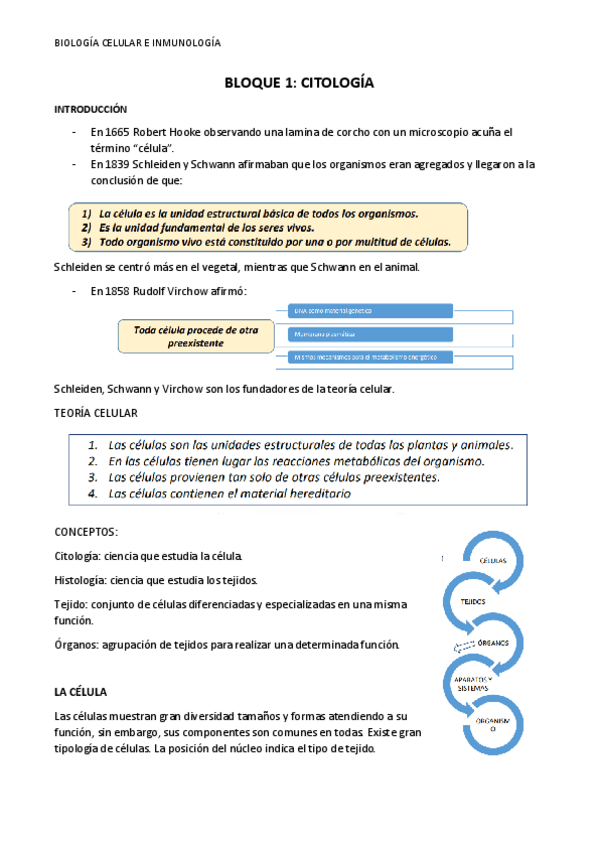 Miniatura del documento TEMA-1-BIOLOGIA-CELULAR.pdf
