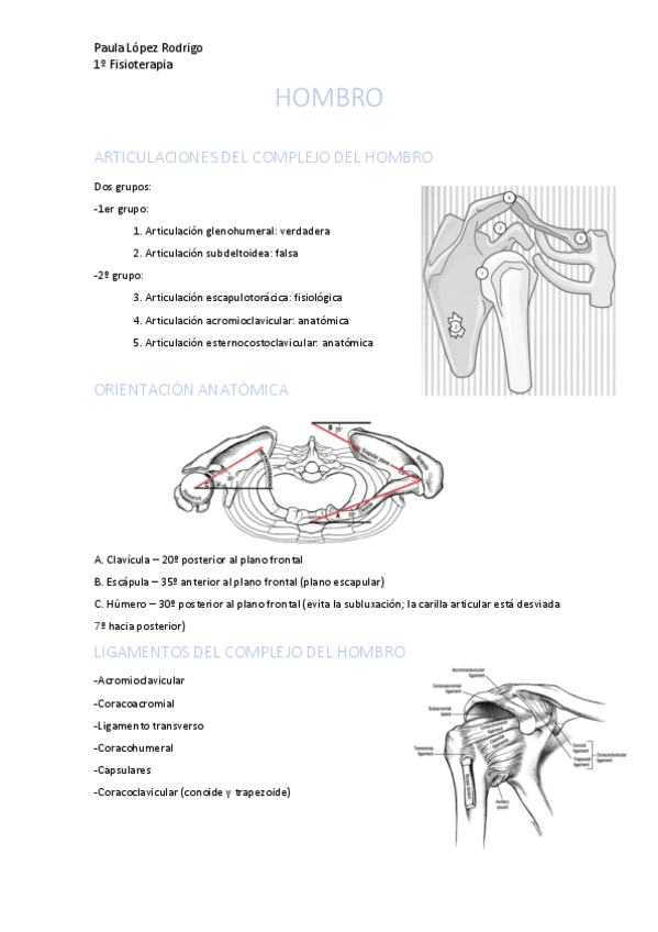 Miniatura del documento HOMBRO.pdf