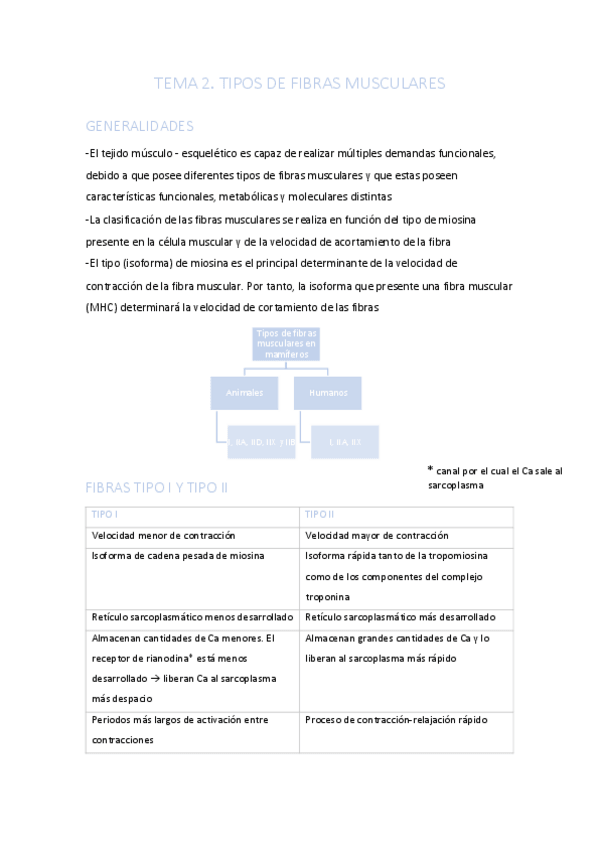 Miniatura del documento TEMA-2.pdf