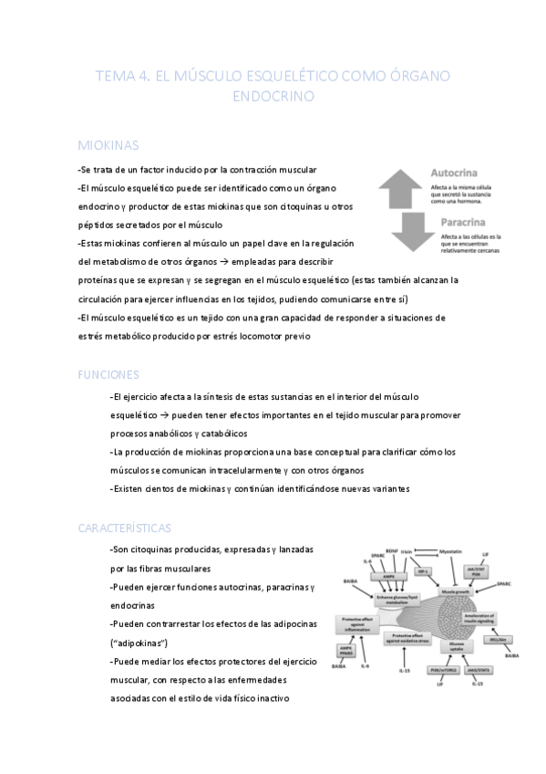 Miniatura del documento TEMA-4.pdf