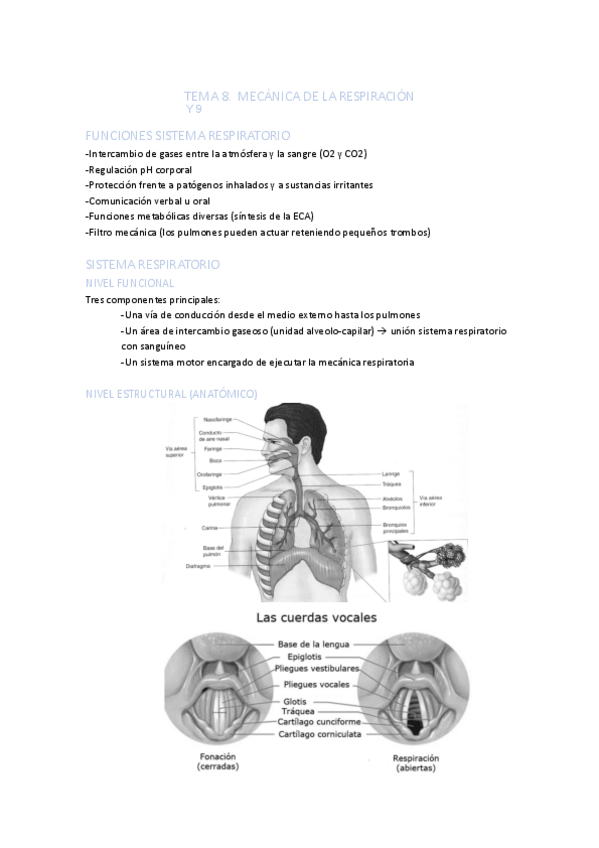 Miniatura del documento TEMA-8-y-9.pdf