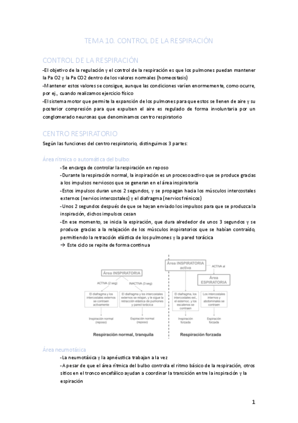 Miniatura del documento TEMA-10.pdf