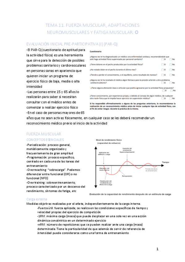 Miniatura del documento TEMA-11.pdf
