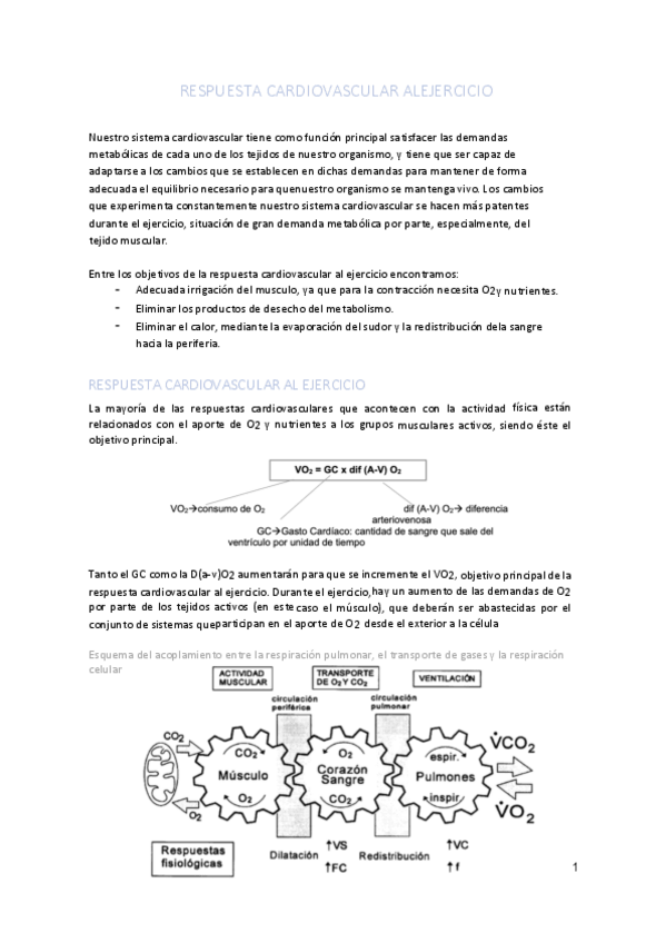 Miniatura del documento TEMA-12.pdf