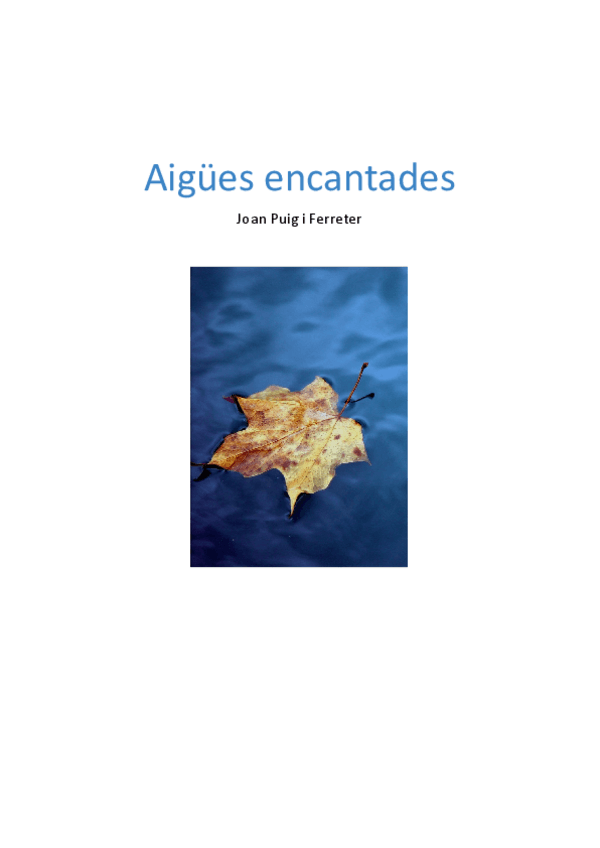 Miniatura del documento AIGUES-ENCANTADES-RESUM-DEL-LLIBRE.pdf
