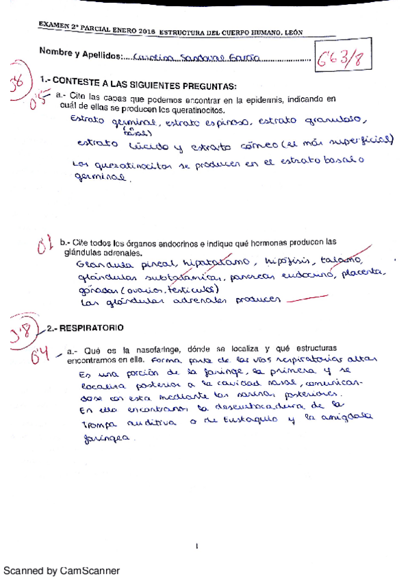 Miniatura del documento Examen 2º Parcial Estructura del Cuerpo Humano.pdf