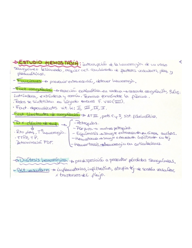 Miniatura del documento Fichas Fisiopato - Balance y Musculoesquelético.pdf