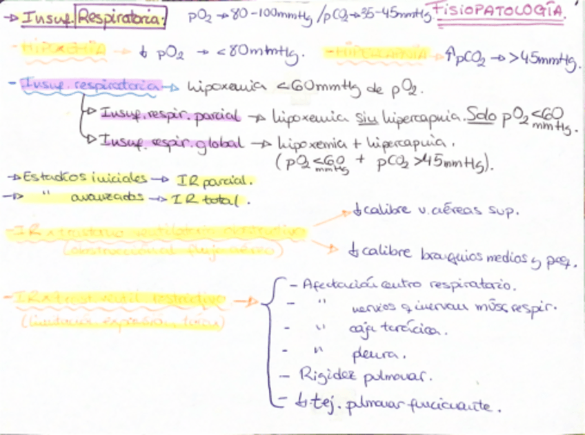 Miniatura del documento Fichas Fisiopato - Neumología.pdf