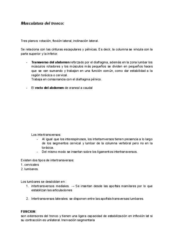 Miniatura del documento MUSCULATURA-DEL-TRONCO.pdf