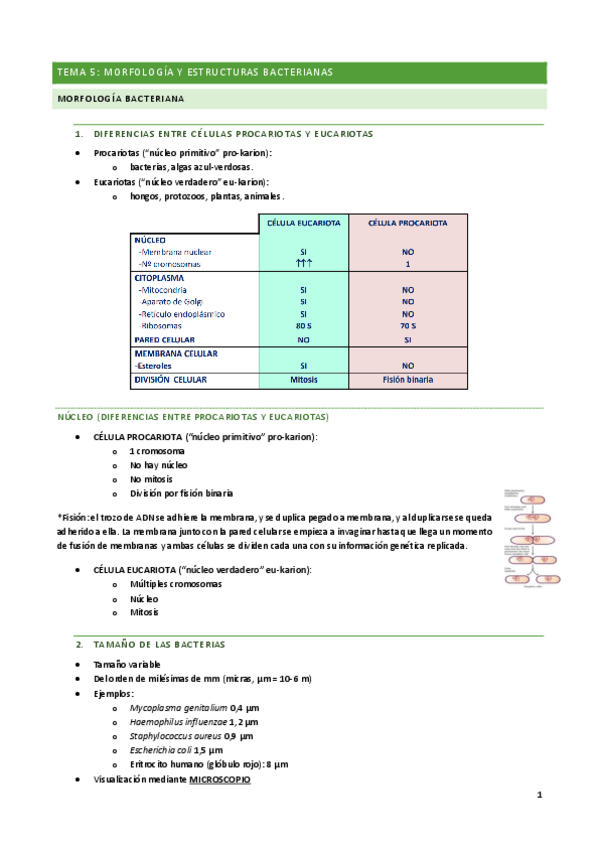 Miniatura del documento Tema-5.pdf