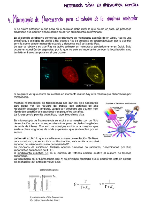 Miniatura del documento Tema-4-metodologia.pdf