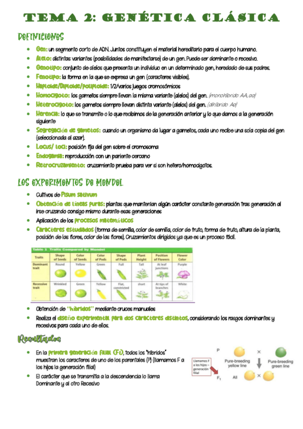 Miniatura del documento 2-genetica-clasica.pdf