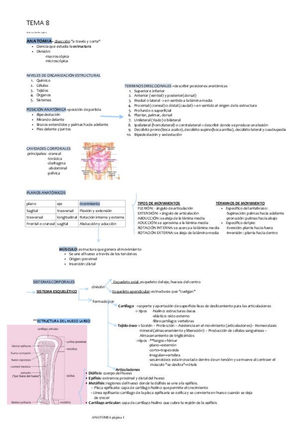 Miniatura del documento anatomia-TEMA-8.pdf