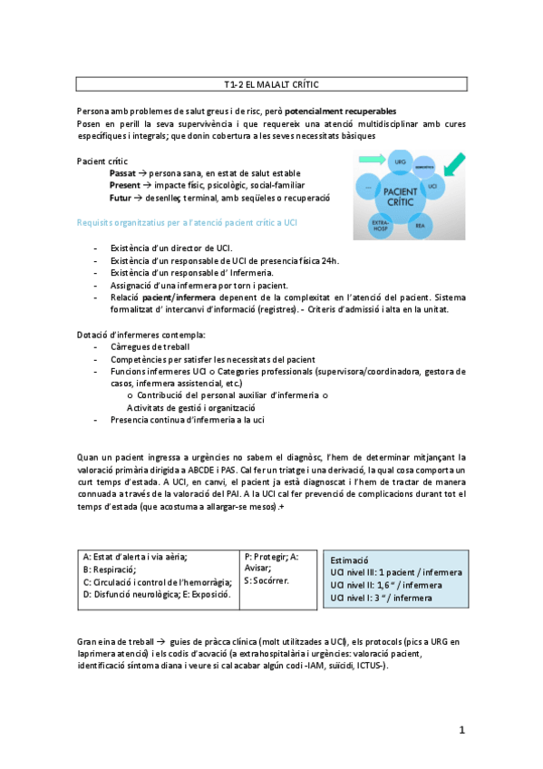 Miniatura del documento ADULT-ii- TOT-temari.pdf