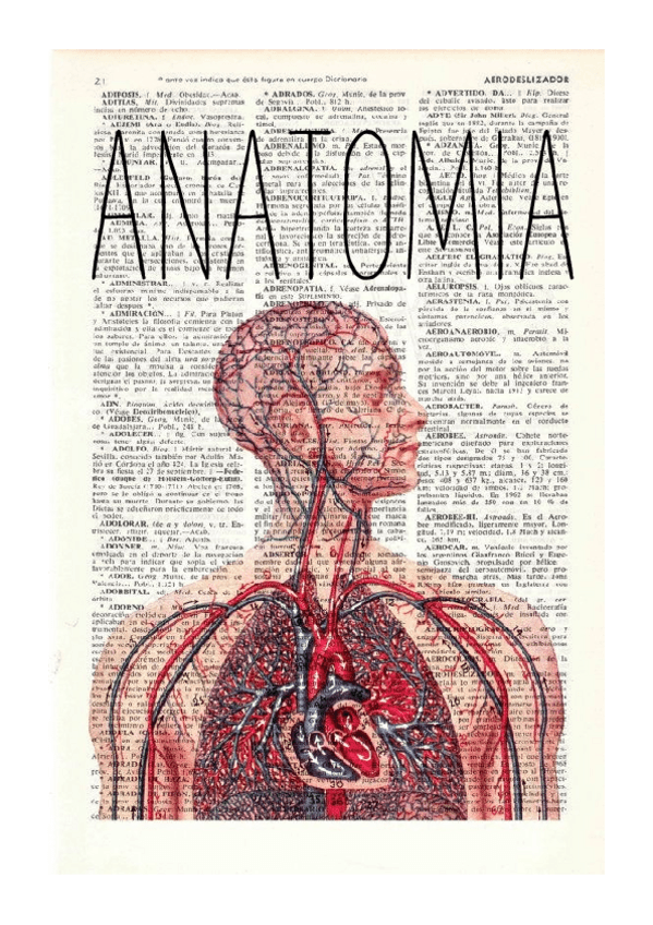 Miniatura del documento ANATOMIA-entera.pdf