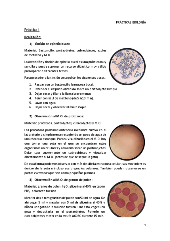 Miniatura del documento PRÁCTICAS BIOLOGÍA.pdf