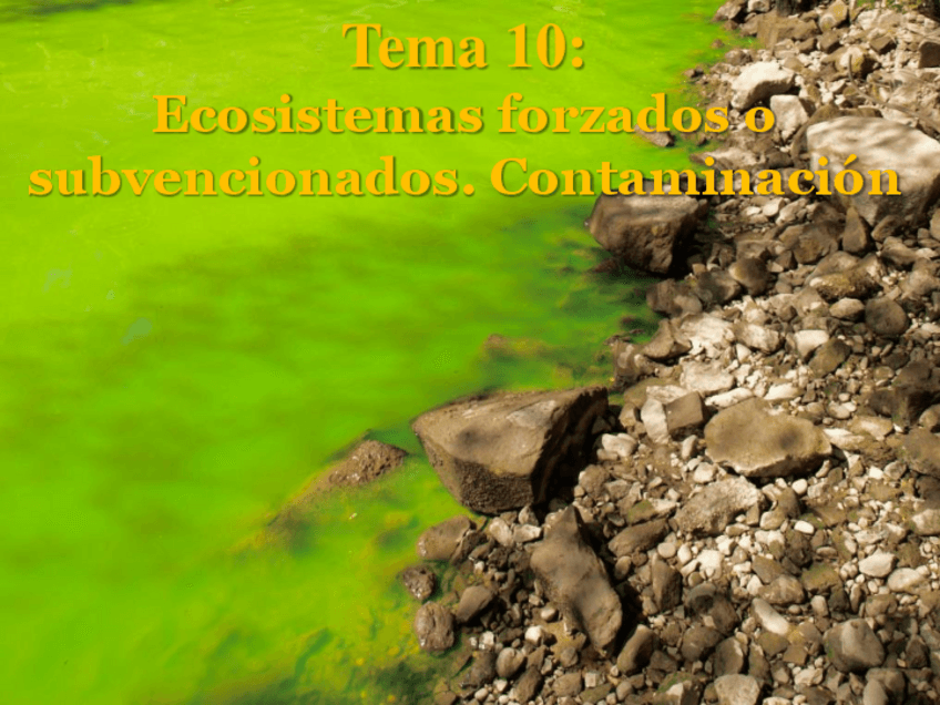 Miniatura del documento CTMA-T10-Contaminacion.pdf