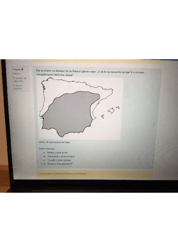 Miniatura del documento Parcial3.pdf