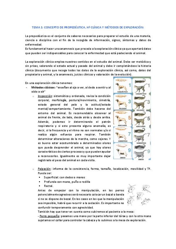 Miniatura del documento APUNTES-PEQUENOS-ANIMALES-UNIDO.pdf