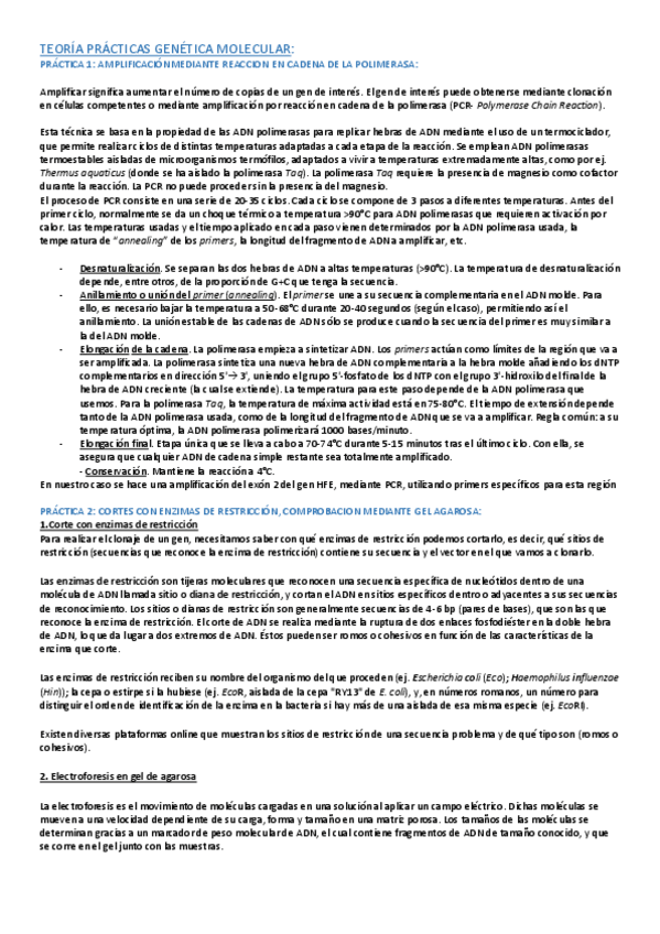 Miniatura del documento TEORIA-PRACTICAS.pdf