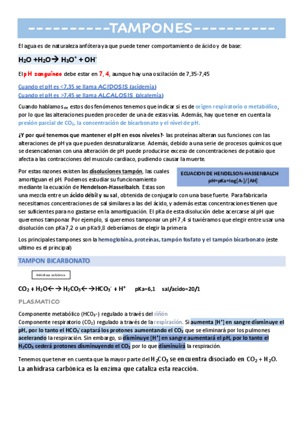 Miniatura del documento TEMA-3-TAMPONES.pdf