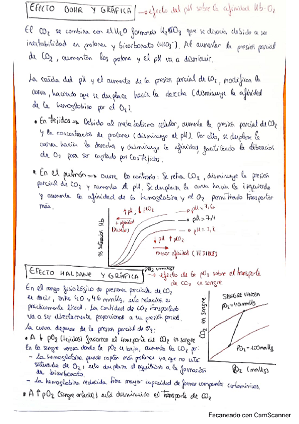 Miniatura del documento Fisio-2-segundo-parcial.pdf