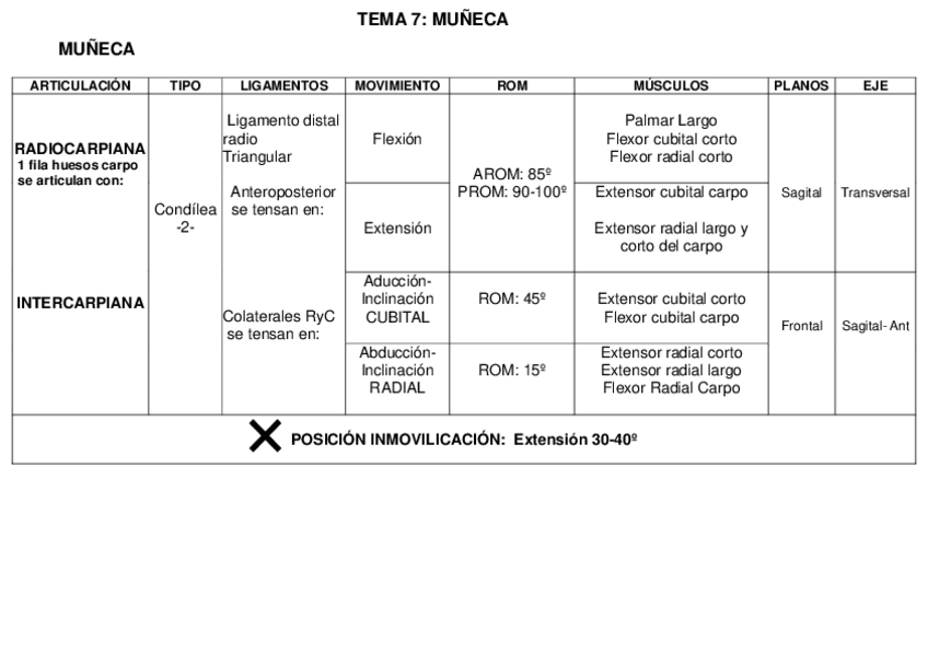 Miniatura del documento Tema-7-muneca-tabla.pdf