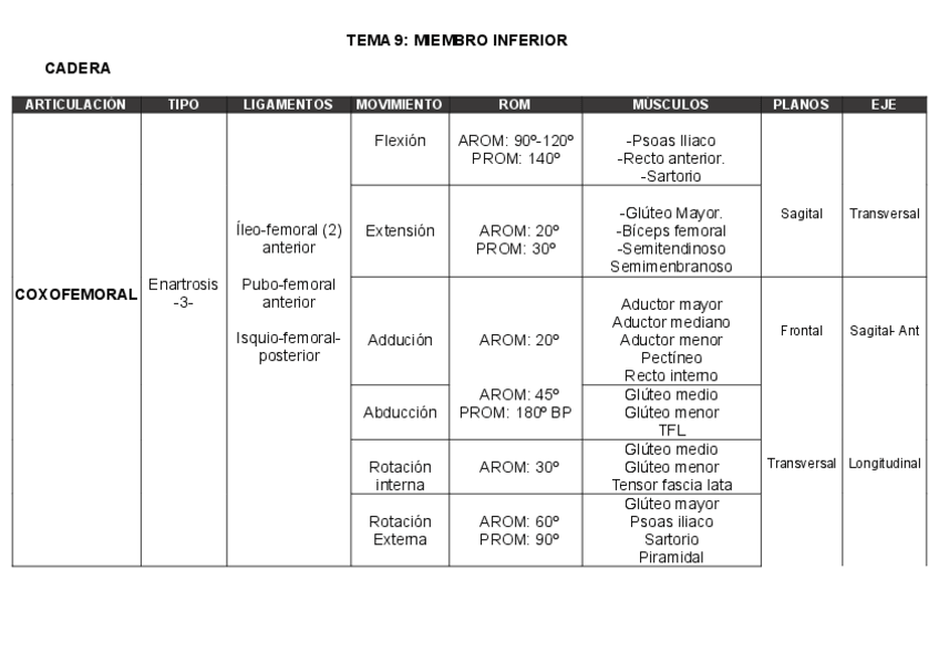 Miniatura del documento TEMA-9-ARTICULACION-miembro-inferior.pdf
