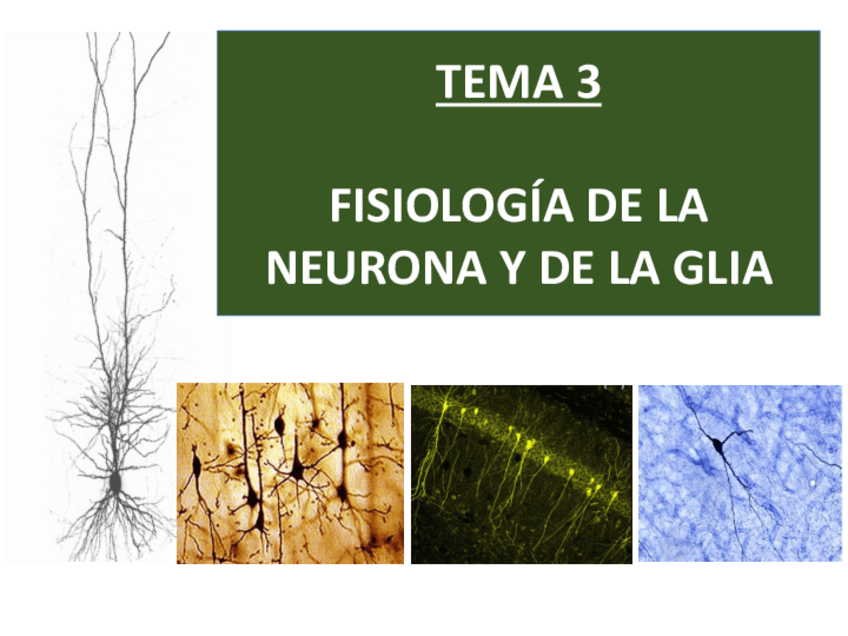Miniatura del documento Tema-3La-neurona.pdf