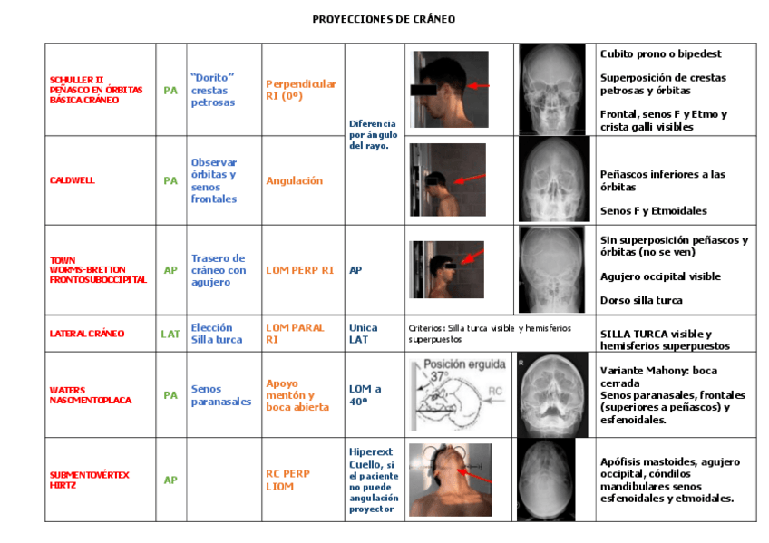 Miniatura del documento proyecciones-craneo.pdf