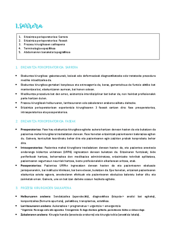 Miniatura del documento Erizaintza-klinikoa.pdf
