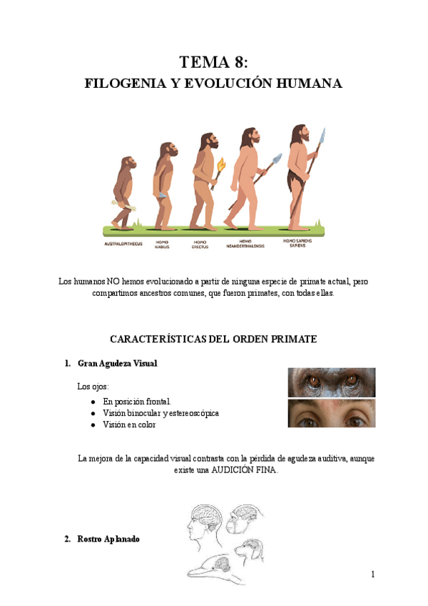 Miniatura del documento Tema-8.docx.pdf