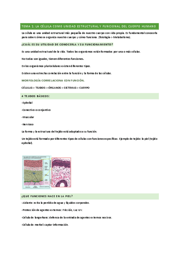 Miniatura del documento TEMAS-1-16-BIO.pdf